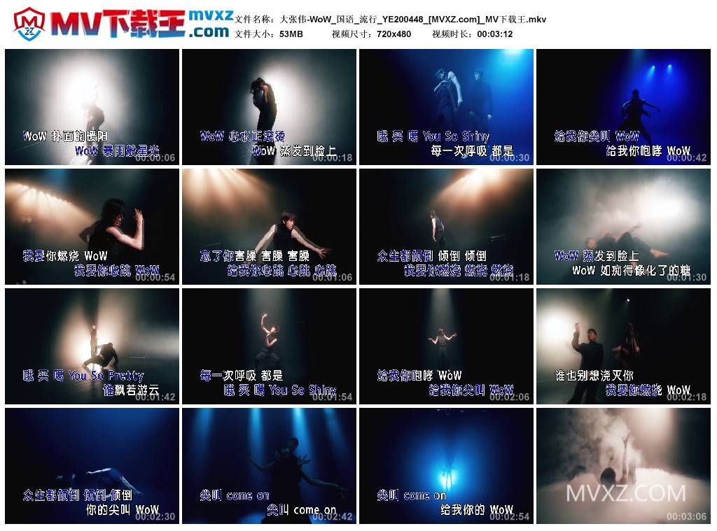 大张伟-WoW_国语_流行_YE200448